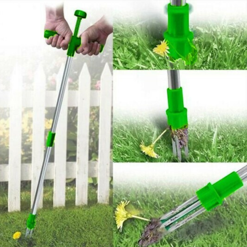 VIMEDA | Root Puller™