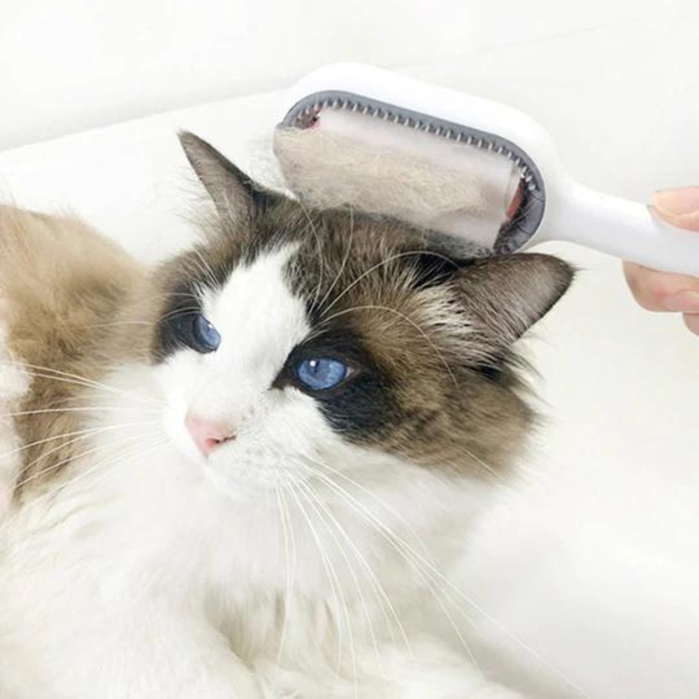VIMEDA | 4-in-1 Pet Brush™