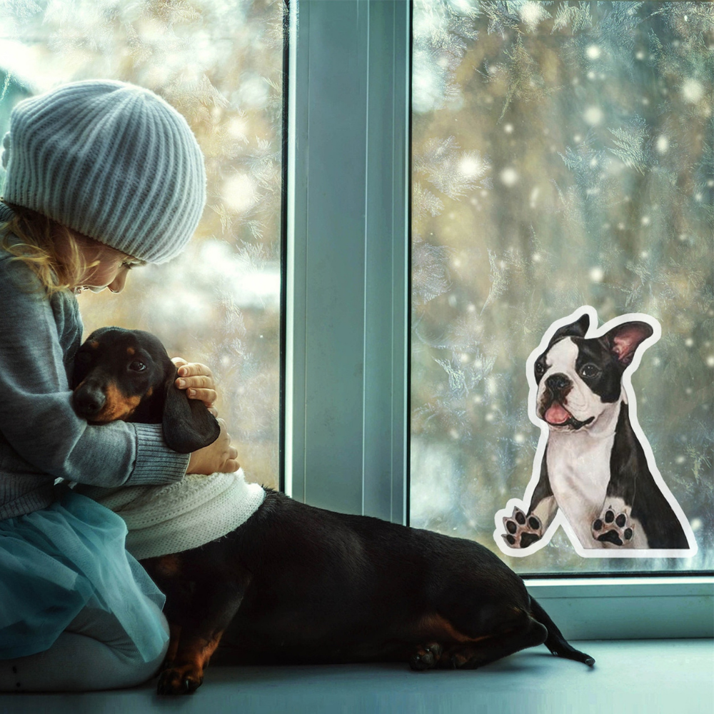 VIMEDA | Dog Car Sticker™ (2+2 GRATIS)