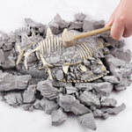 VIMEDA | Paleontological Dino Set™