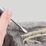 VIMEDA | Paleontological Dino Set™