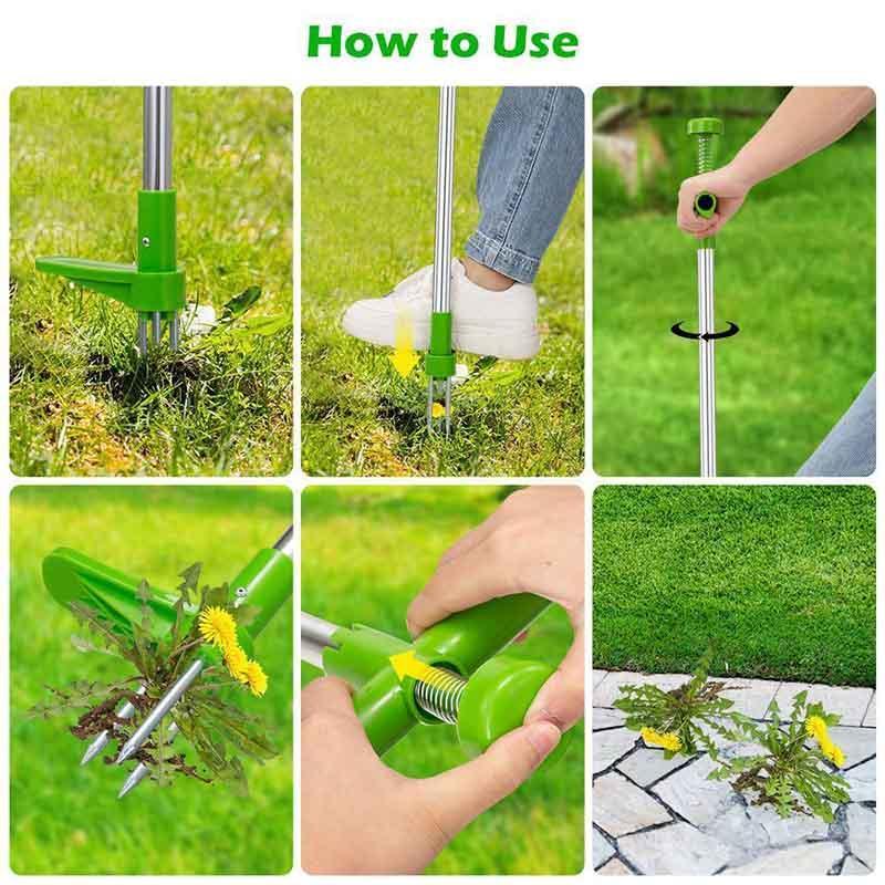 VIMEDA | Root Puller™