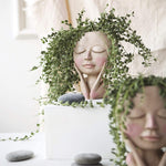VIMEDA | Face Flower Pot™