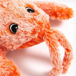 VIMEDA | Lobster Cat Toy™