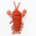 VIMEDA | Lobster Cat Toy™