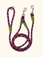 VIMEDA | Hands-Free Dog Leash™