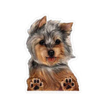 VIMEDA | Dog Car Sticker™ (2+2 GRATIS)