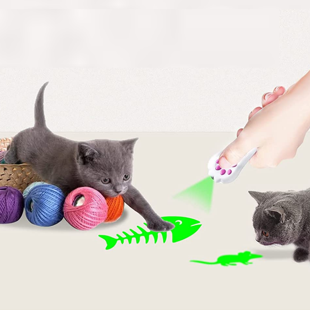 VIMEDA | LED Pet Laser™