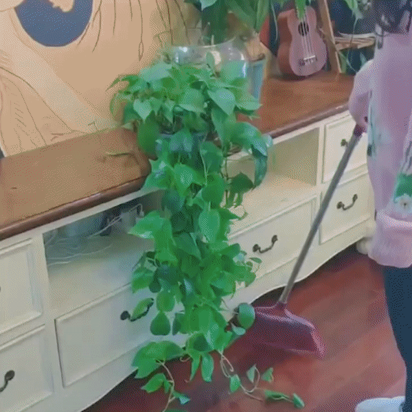 VIMEDA | Plant Fixture Clips™ ( 20+20 GRATIS)